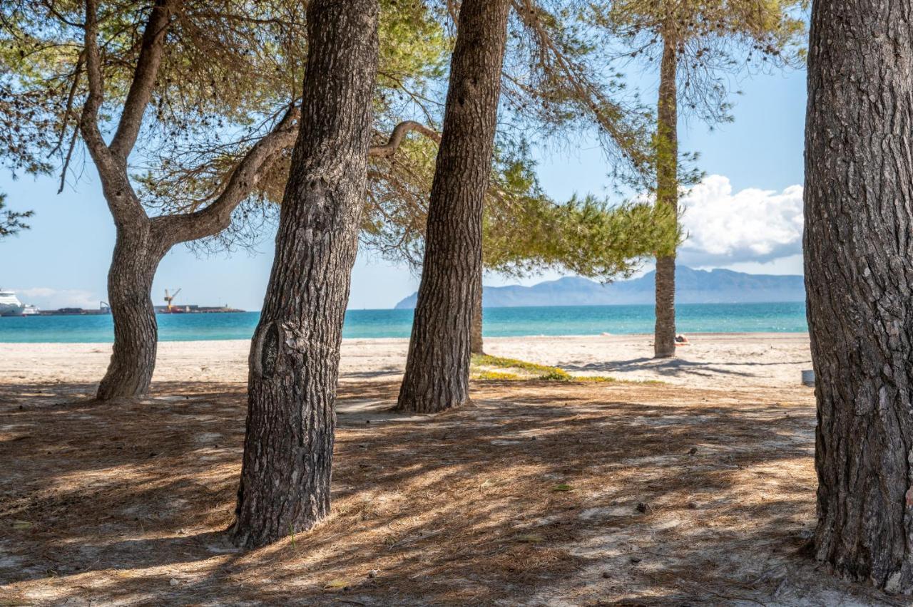 Villa Mercuri Alcudia  Dış mekan fotoğraf
